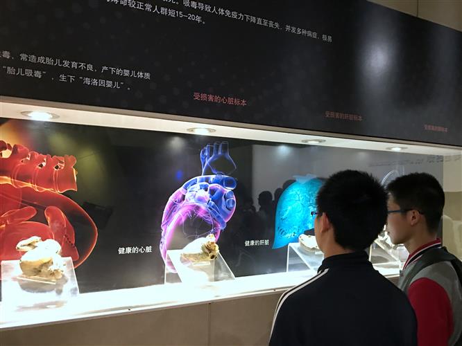 WDCM上传图片 WDCM上传图片